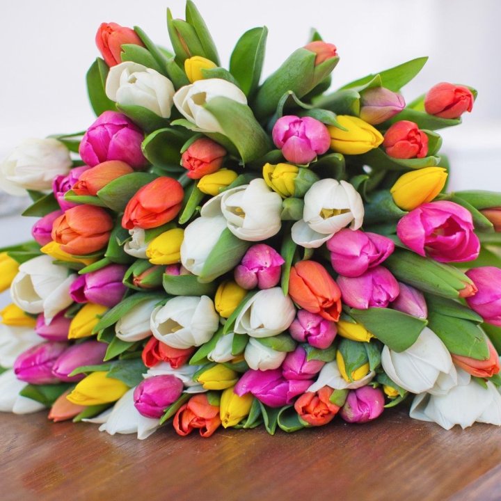 79 тюльпанов "Рандом" в Екатеринбурге