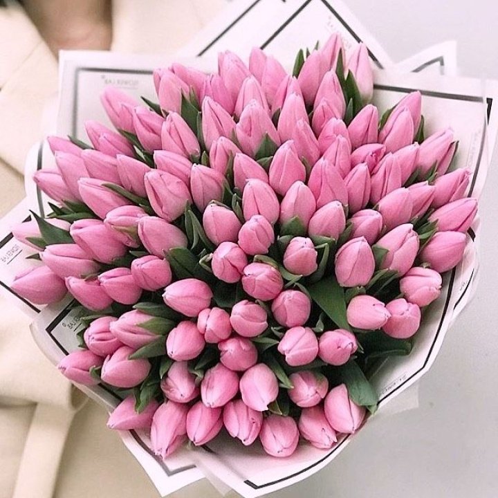 101 розовый тюльпан в белом в Екатеринбурге