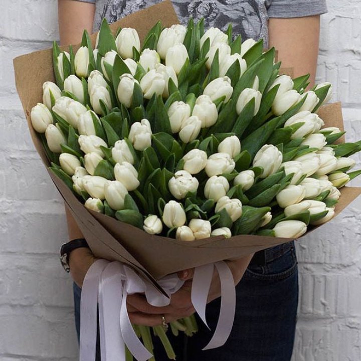 101 тюльпан сноу в Екатеринбурге