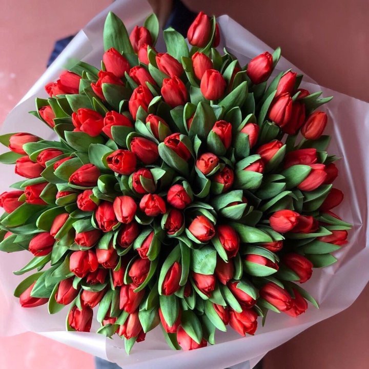 101 красный тюльпан в Екатеринбурге